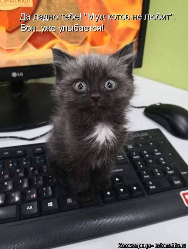 Котоматрица: Да ладно тебе! "Муж котов не любит".  Вон, уже улыбается!