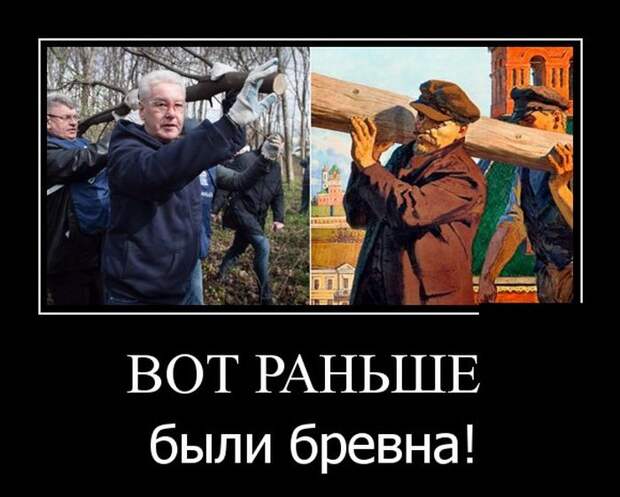 Демотиваторы (30 фото)