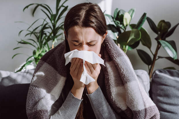Раскрыта истинная связь между частыми простудами и иммунитетом
