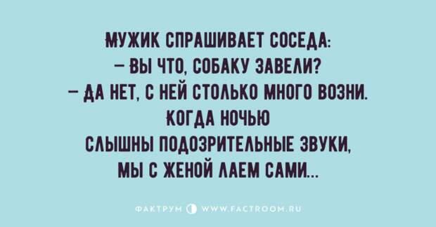 Самые забавные анекдоты, предназначенные для тех, кто немного заскучал