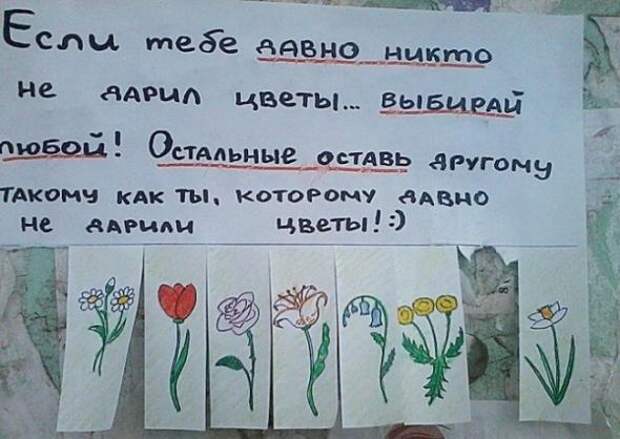 Объявления, мимо которых невозможно пройти.