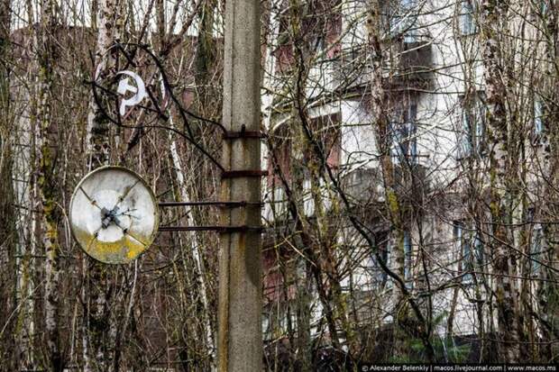 Мёртвый город Припять. Джунгли Чернобыля Мёртвый город Припять. Джунгли Чернобыля