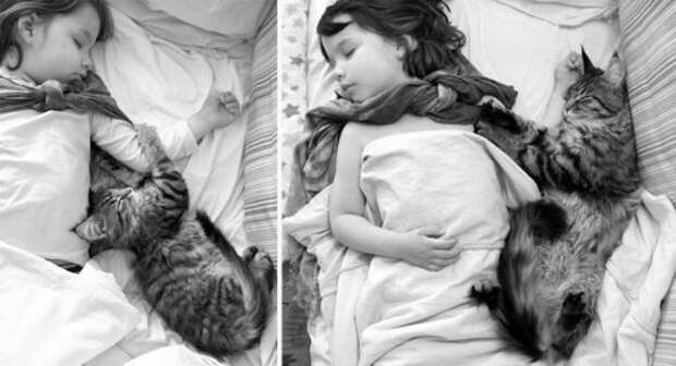 Задушевная дружба 5-летней девочки, страдающей аутизмом, и её терапевтической кошки (23 фото)