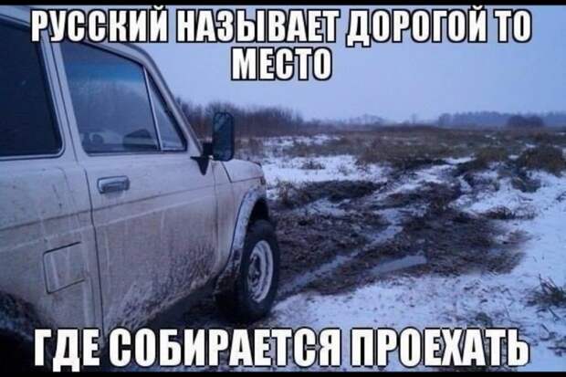 Просто картинки хорошего настроения нарочно не придумаешь, юмор