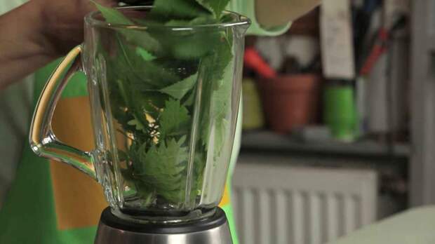 Подкормка-смузи для растений