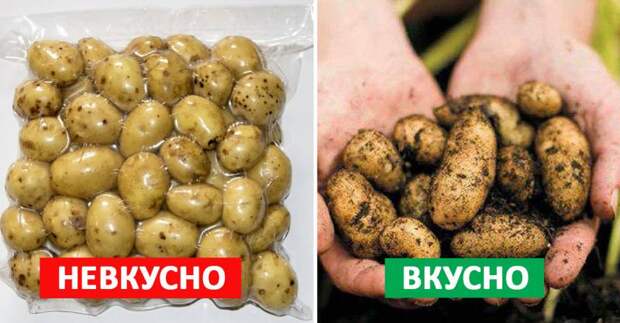 Сезон молодого картофеля: как правильно выбрать и приготовить клубни