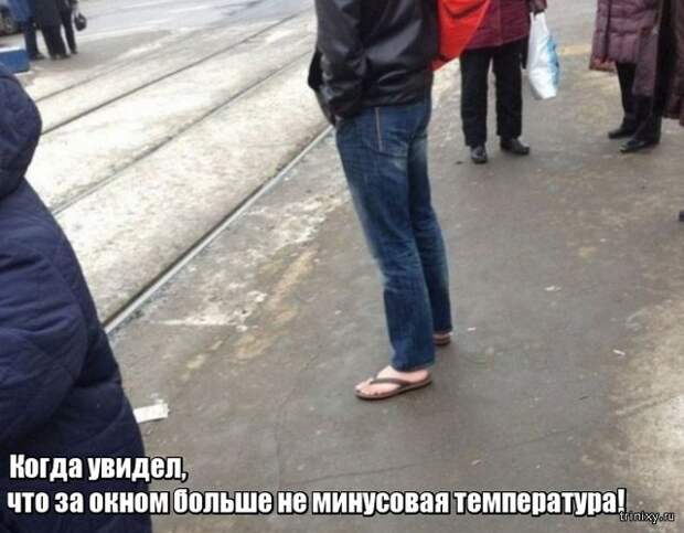 Весна уже пришла? Или пока еще нет? (23 фото)