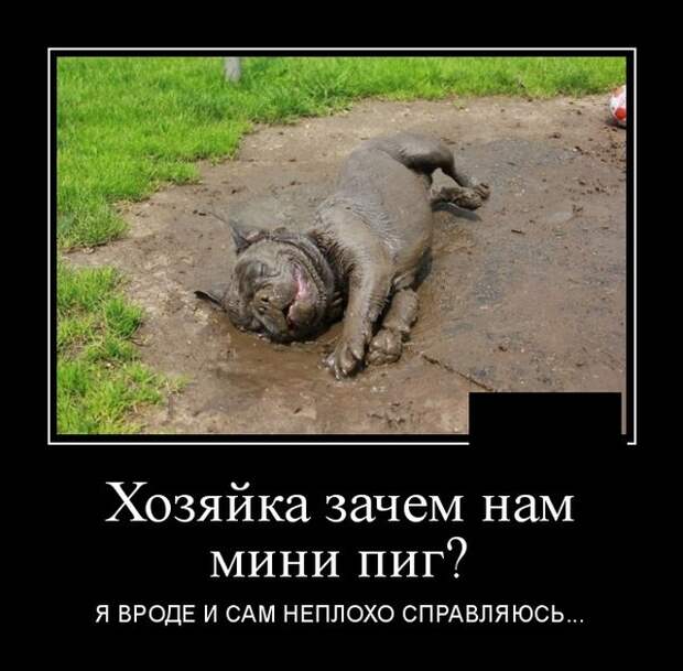www.vsyako.net