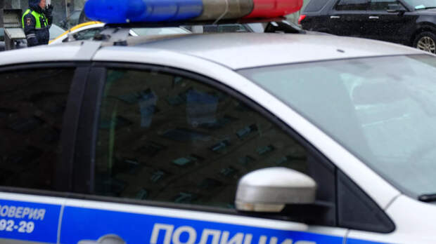 Задымление произошло в поезде в Москве из-за хулигана