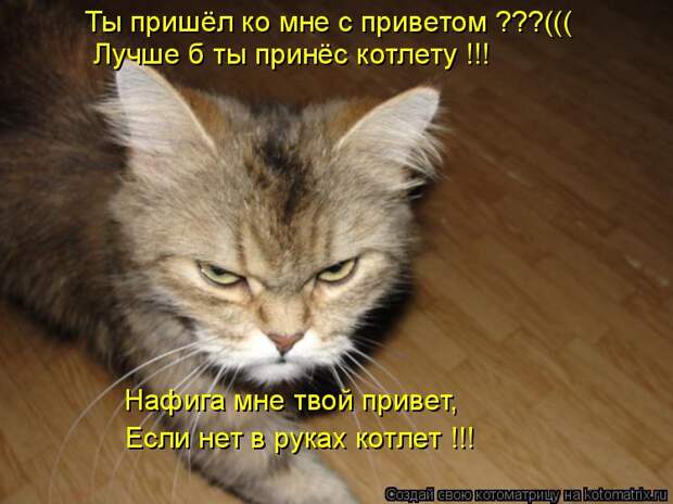 Котоматрица: Ты пришёл ко мне с приветом ???((( Лучше б ты принёс котлету !!! Нафига мне твой привет, Если нет в руках котлет !!!