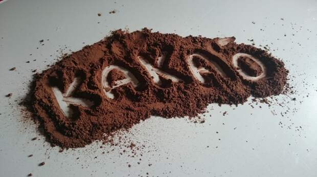Мировому производству какао грозит вирус, передаваемый насекомыми