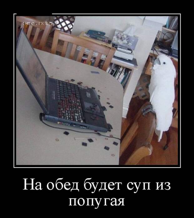 Демотиваторы (30 фото)