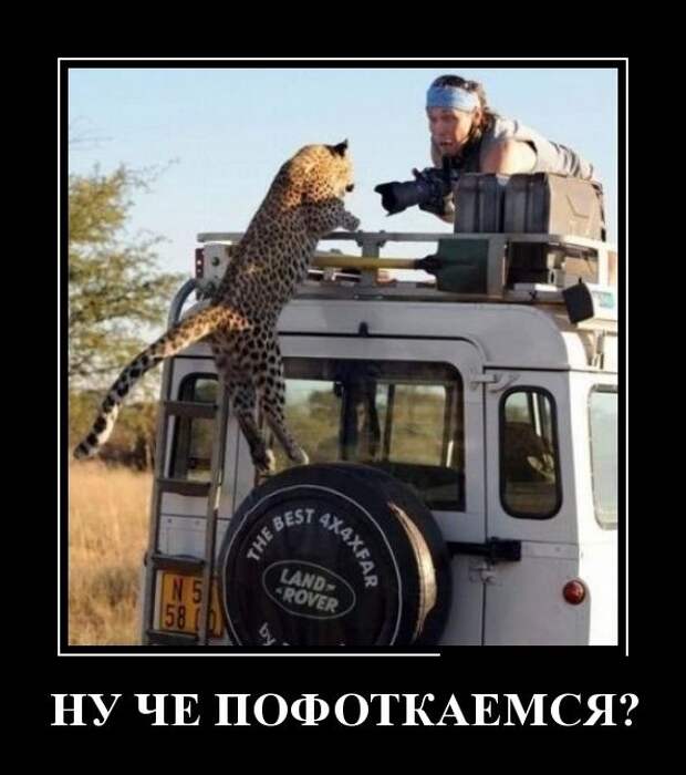 Демотиваторы (30 фото)