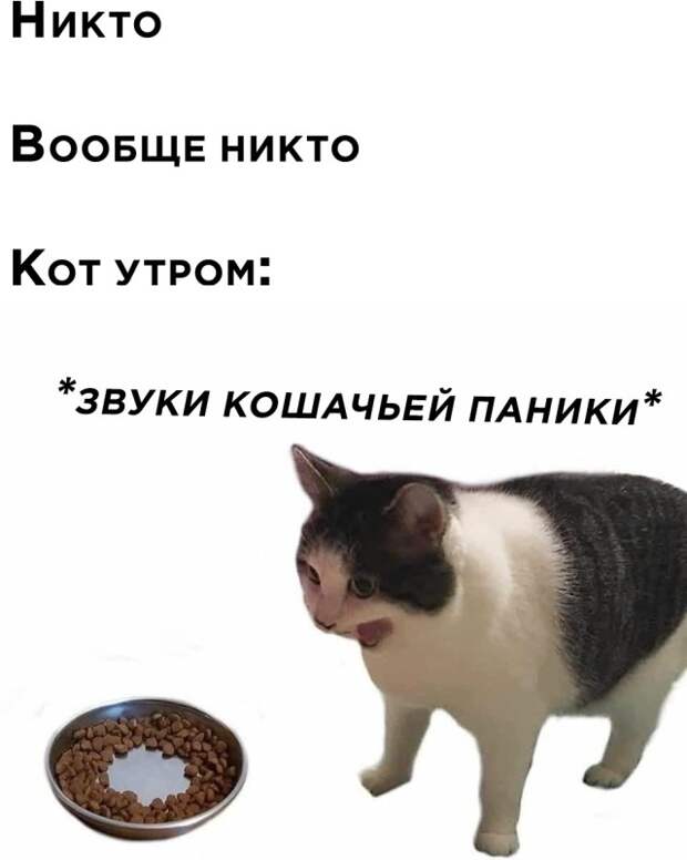 Смешные картинки вечер 4 марта 2021