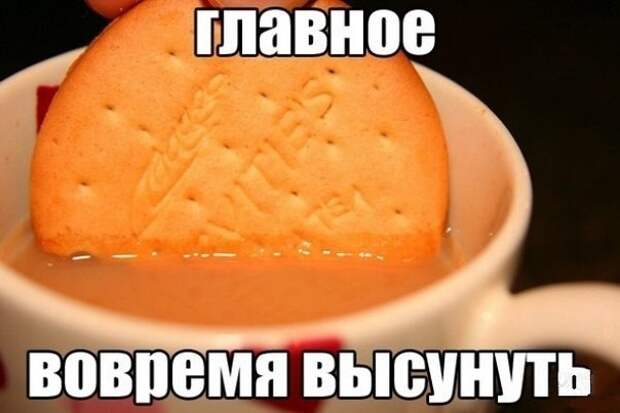 Смешные картинки с надписями Смешные картинки с надписями прикол, юмор