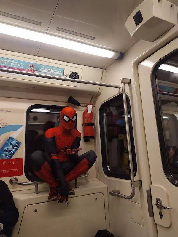 18 278