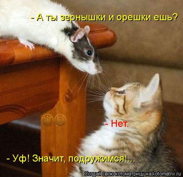 Мысли вслух :)