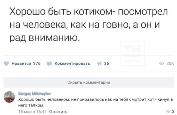 Смешные комментарии из социальных сетей комментарии, смешные картинки., смешные подписи, соцсети, юмор
