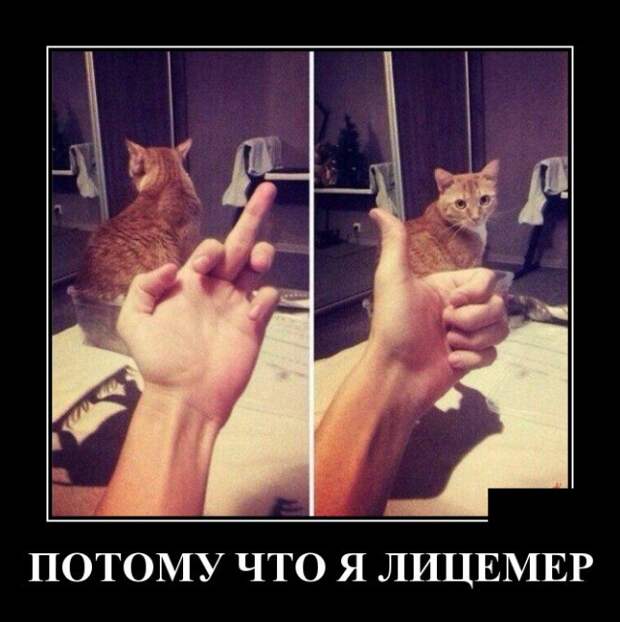 Демотиваторы (30 фото)