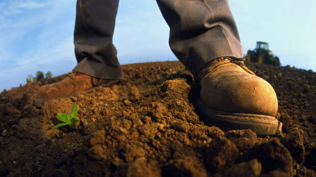 Специалист Хазиев: переувлажнение почвы в ряде районов Татарстана не несёт угрозы посевной