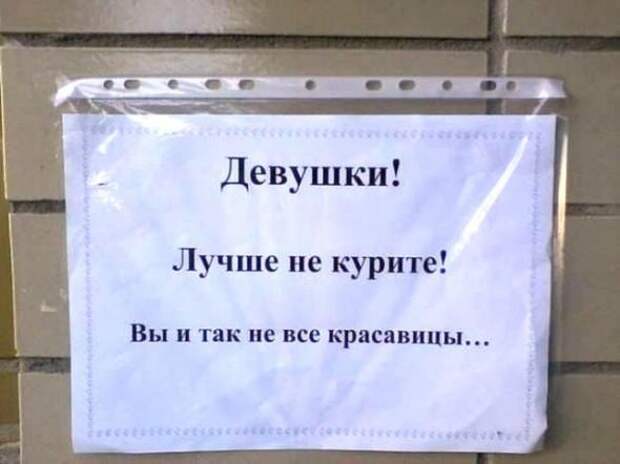 Объявления, мимо которых невозможно пройти.