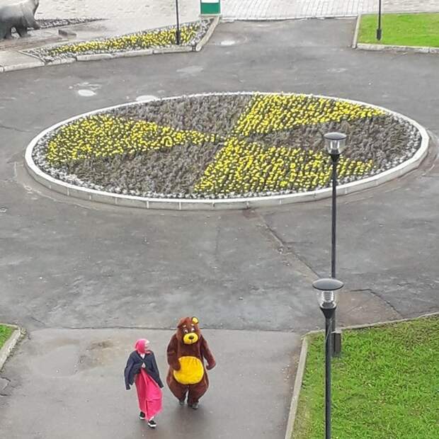 клумба с цветами