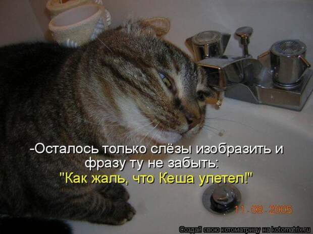 Мысли вслух :)