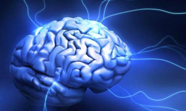 электрические импульсы мозга, cамые интересные факты о человеке