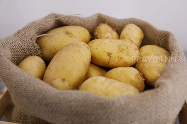 Более 10 тысяч тонн нижегородской продукции отправили за границу