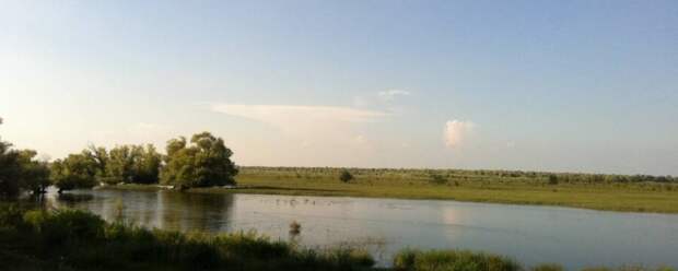 /Адамий/ Адэмые, «Адамий»