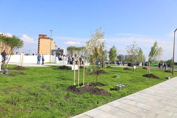 Тюменский сквер Медицинских работников стал участником реестра лучших практик благоустройства Минстроя РФ