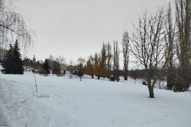 Праздничные выходные в Тамбове будут морозными