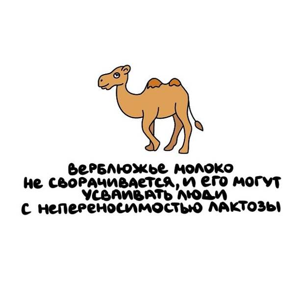 Интересные и коротенькие факты на все случаи жизни