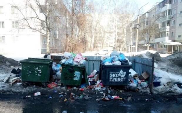 Рязанцы пожаловались на скопление мусора на Московском шоссе