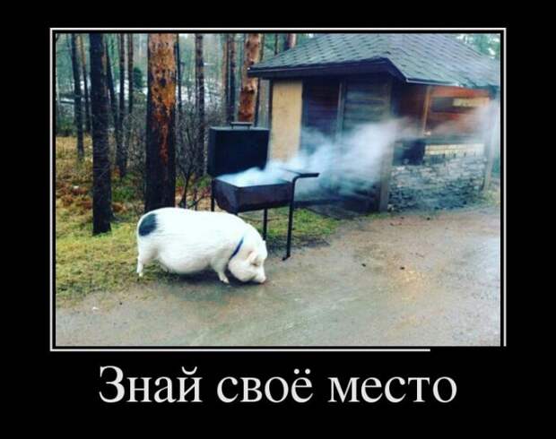 Демотиваторы (30 фото)