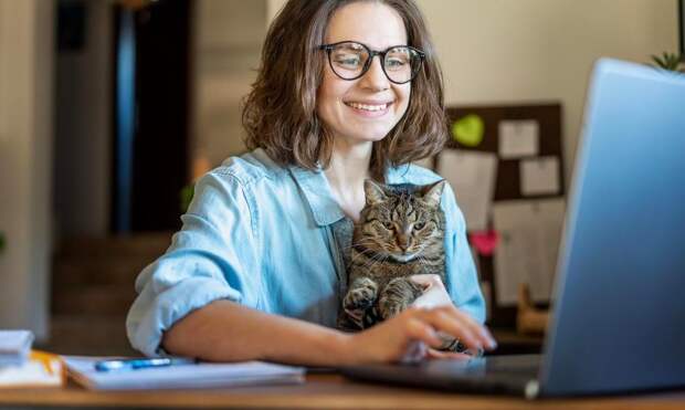 Как правильно держать кошку на руках, объяснила ветеринар Мамонова