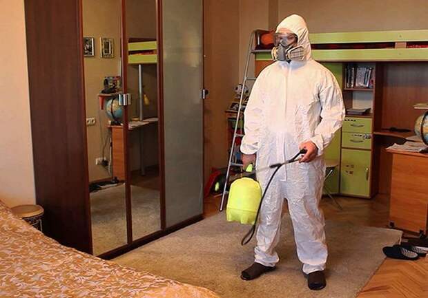 Предупредить легче, чем победить: 6 полезных советов, которые помогут уберечь дом от тараканов