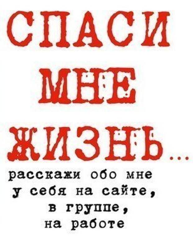 Пропадают котята... Может вы готовы приютить их на время или навсегда?