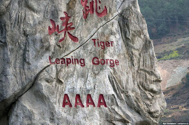 Ущелье прыгающего тигра