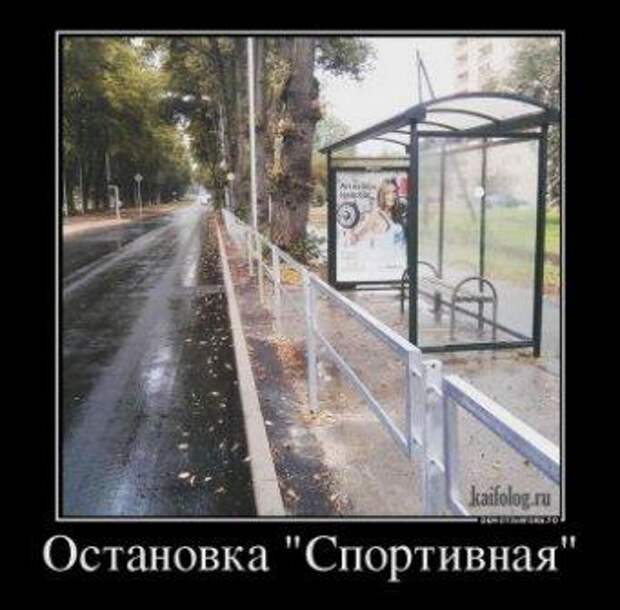 Зачетные и веселые демотиваторы для хорошего настроения на весь день