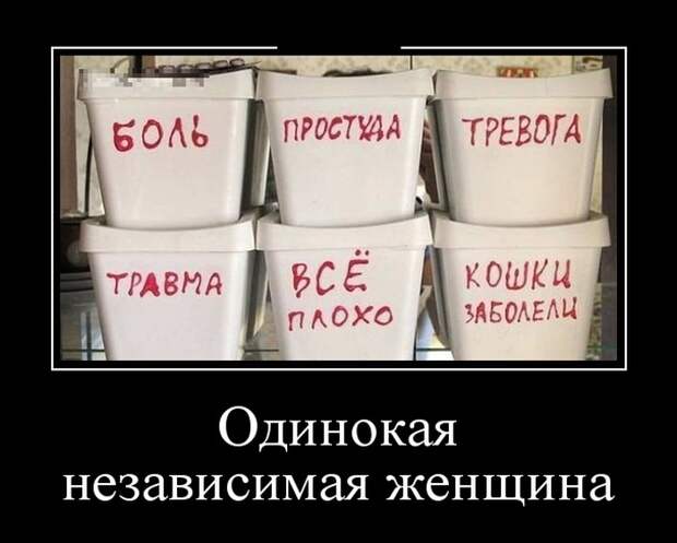 Демотиваторы (30 фото) Демотиваторы (30 фото)