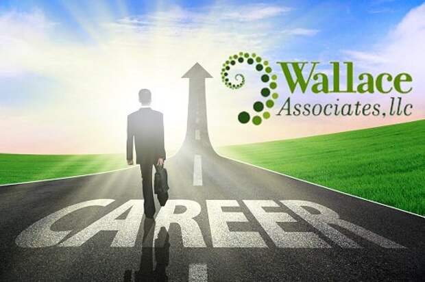 Why do you need a good career management? - Wallace Associates