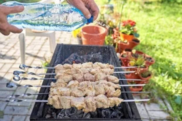 Простые маринады для шашлыка 2026: с луком, уксусом, майонезом, кефиром