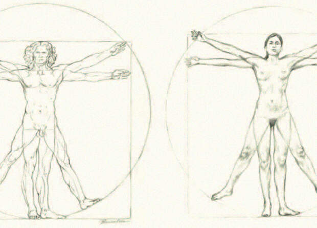 Основы пропорций фигуры, унаследованные от великого Леонардо
