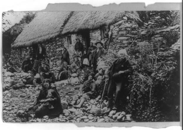 Ирландский голод 19 века