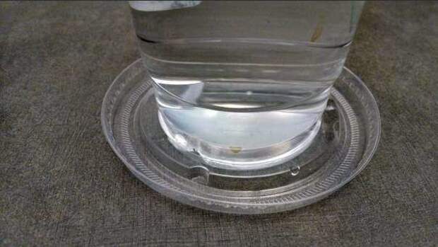 3. Крышку от пластикового стакана с горячим напитком можно использовать как подставку интересное, факты