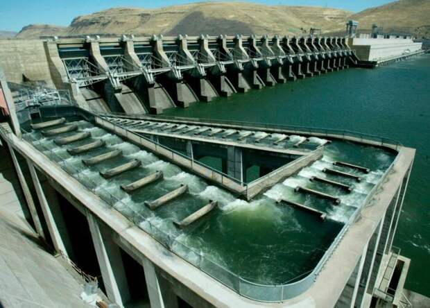 «Рыбные лестницы» помогают лососю завершить естественный миграционный путь. | Фото: theconstructor.org.