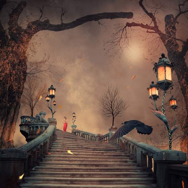 Лестница в небеса. Фотохудожник Караш Йонуц (Caras Ionut).