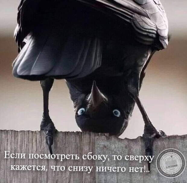 Снизу