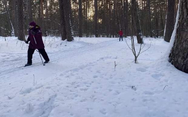 Рязанцев приглашают помочь в уборке лыжной трассы